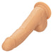 CalExotics SE-0253-05-2 Silicone Studs 8 Inch Realistic Dildo Ivory