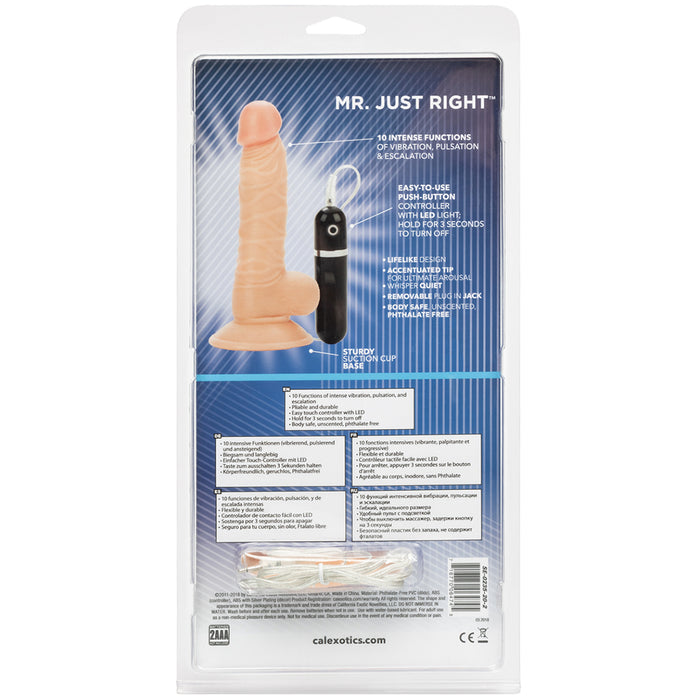 Mr. Just Right 5.25 Inch Realistic Vibrating Harness Compatible Dildo - Package Back